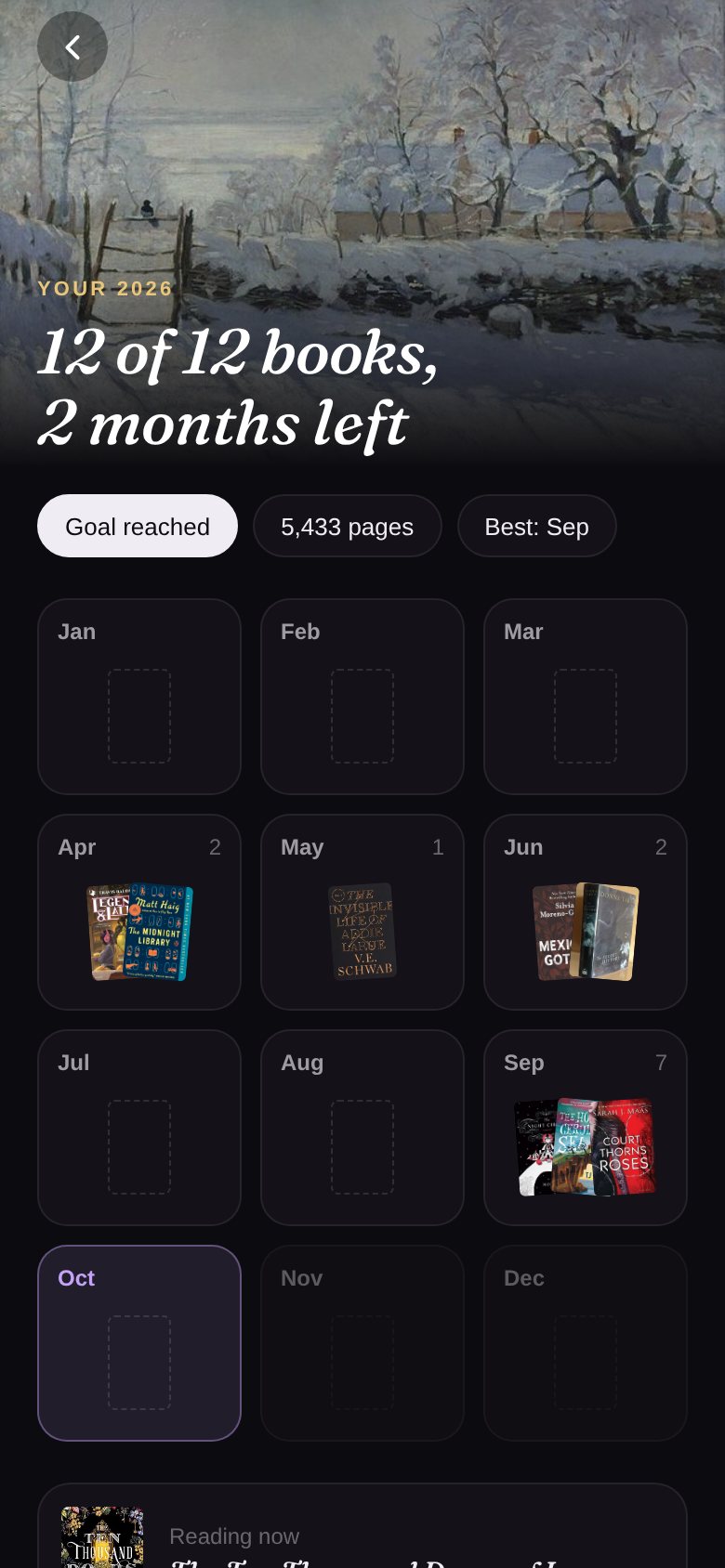 Booky's year view: 12 of 12 books, with covers placed by month